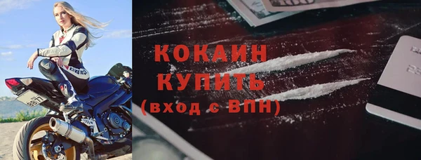 дживик Богородицк