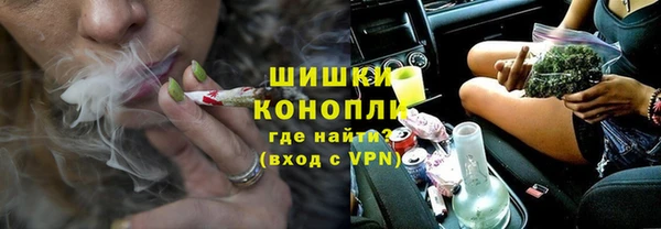 дживик Богородицк