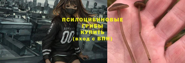 соль курить ск Богданович