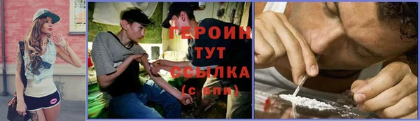 дживик Богородицк