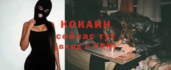 дживик Богородицк