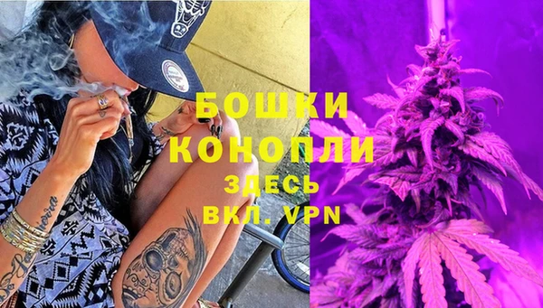 дживик Богородицк