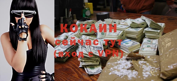 дживик Богородицк