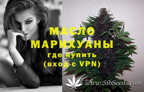 дживик Богородицк
